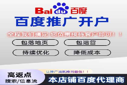 SEO策略在电商平台的成功应用案例